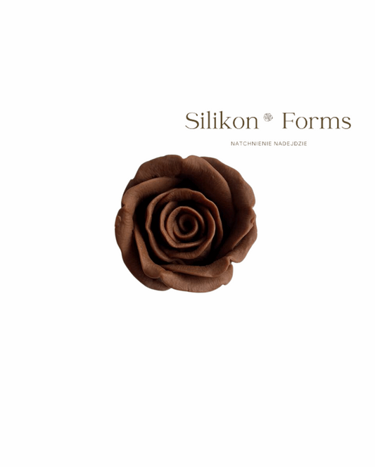 Róża "Сiemny Książę"