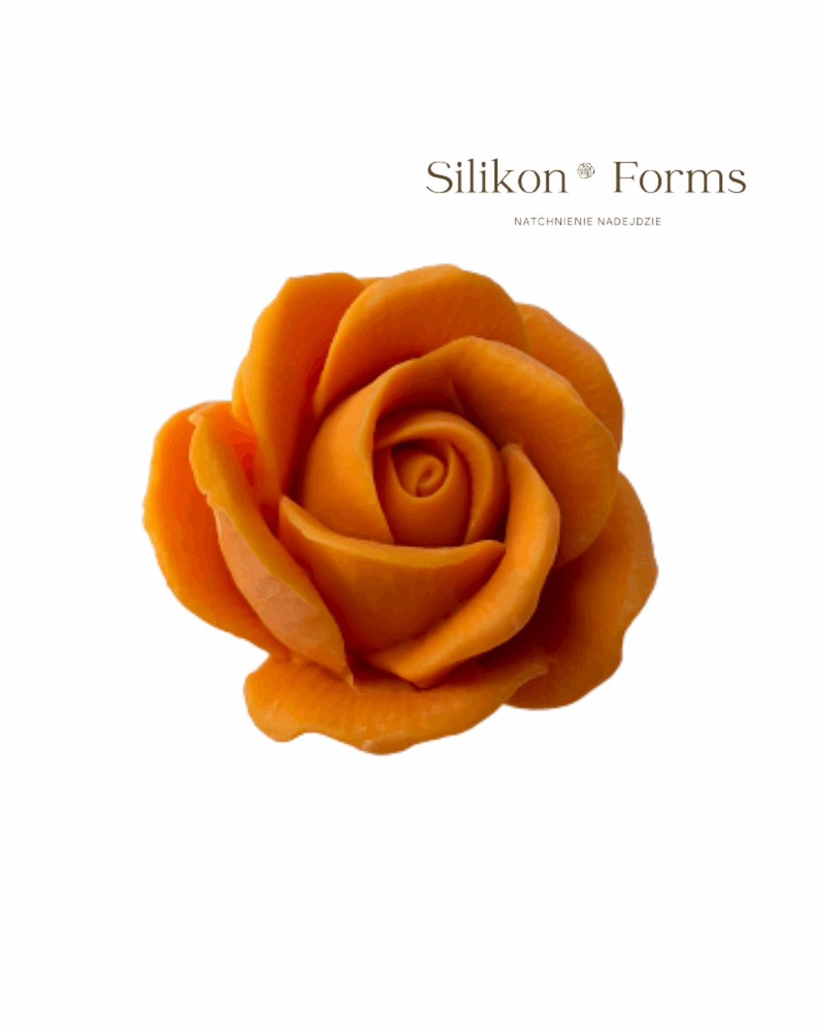 Kwiat "Róża Wielkokwiatowa"