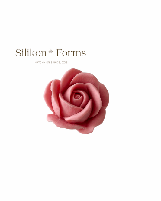 Kwiat "Róża Wielkokwiatowa"